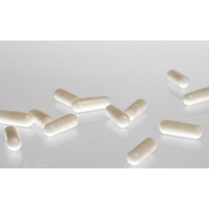 THE-RIDE-OR-DIE: THE Magnesium